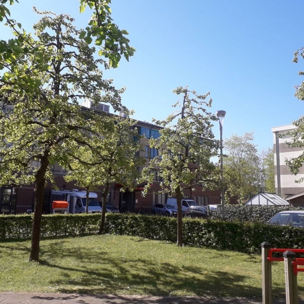 Perenbomen zorgcentrum Kulenburg