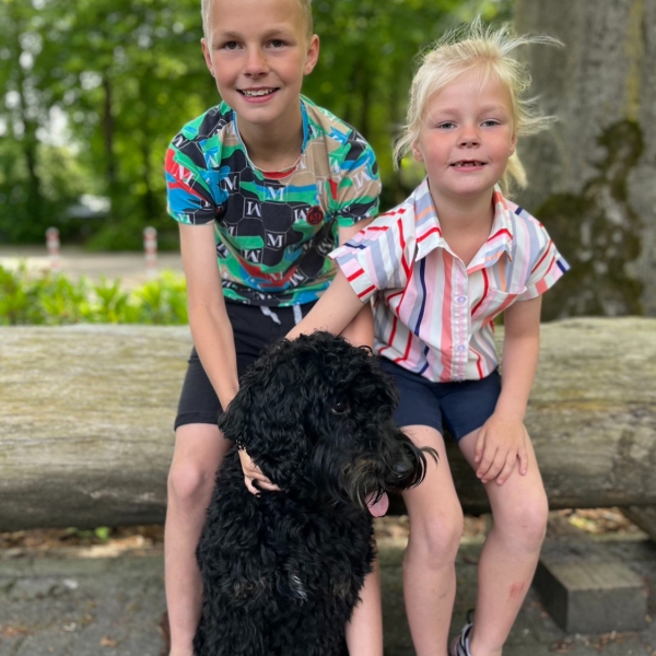 Kinderen en hond van Mark